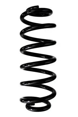 Fahrwerksfeder Hinterachse SPIDAN 87955