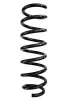 Fahrwerksfeder Vorderachse SPIDAN 87975
