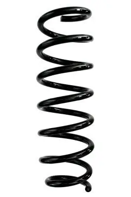 Fahrwerksfeder Vorderachse SPIDAN 87979
