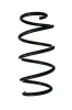 Fahrwerksfeder Vorderachse SPIDAN 87990