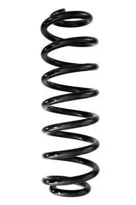 Fahrwerksfeder Hinterachse SPIDAN 87994