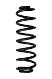Fahrwerksfeder Hinterachse SPIDAN 87995
