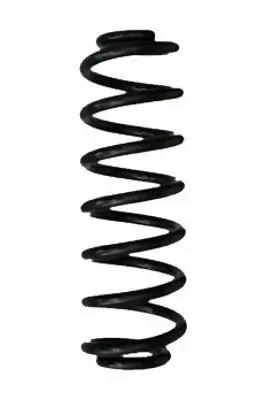 Fahrwerksfeder Hinterachse SPIDAN 87995 Bild Fahrwerksfeder Hinterachse SPIDAN 87995