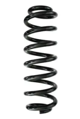 Fahrwerksfeder Hinterachse SPIDAN 87999