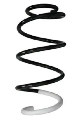 Fahrwerksfeder Vorderachse SPIDAN 88002