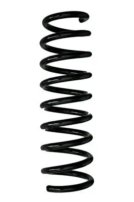 Fahrwerksfeder Hinterachse SPIDAN 88005