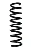 Fahrwerksfeder Hinterachse SPIDAN 88005