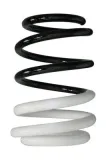 Fahrwerksfeder Vorderachse SPIDAN 88007