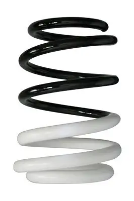 Fahrwerksfeder Vorderachse SPIDAN 88007 Bild Fahrwerksfeder Vorderachse SPIDAN 88007