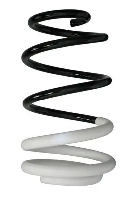 Fahrwerksfeder Vorderachse SPIDAN 88008 Bild Fahrwerksfeder Vorderachse SPIDAN 88008