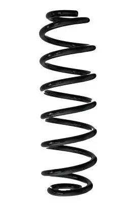 Fahrwerksfeder Hinterachse SPIDAN 88031