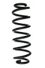 Fahrwerksfeder Hinterachse SPIDAN 88032