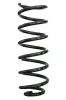Fahrwerksfeder Vorderachse SPIDAN 88036