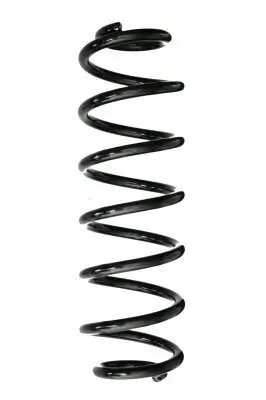 Fahrwerksfeder Hinterachse SPIDAN 88058