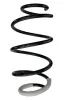 Fahrwerksfeder Vorderachse SPIDAN 88074