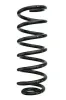 Fahrwerksfeder Hinterachse SPIDAN 88081
