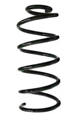 Fahrwerksfeder Hinterachse SPIDAN 88083