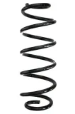 Fahrwerksfeder Hinterachse SPIDAN 88103