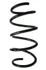 Fahrwerksfeder Vorderachse SPIDAN 88107
