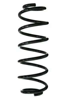Fahrwerksfeder Hinterachse SPIDAN 88119