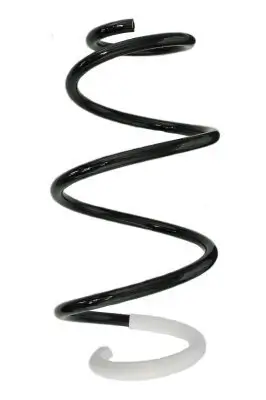 Fahrwerksfeder Vorderachse SPIDAN 88146