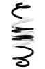 Fahrwerksfeder Hinterachse SPIDAN 88158