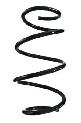 Fahrwerksfeder Vorderachse SPIDAN 88161
