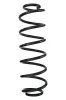 Fahrwerksfeder Hinterachse SPIDAN 88169