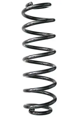 Fahrwerksfeder Hinterachse SPIDAN 88206
