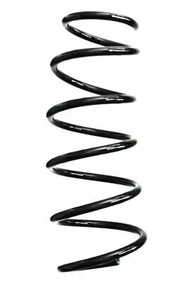 Fahrwerksfeder Vorderachse SPIDAN 88242