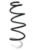 Fahrwerksfeder Vorderachse SPIDAN 88245