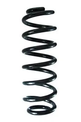 Fahrwerksfeder Hinterachse SPIDAN 88270