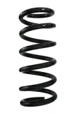 Fahrwerksfeder Hinterachse SPIDAN 88308