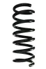 Fahrwerksfeder Hinterachse SPIDAN 88312