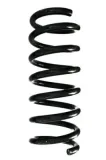 Fahrwerksfeder Hinterachse SPIDAN 88312