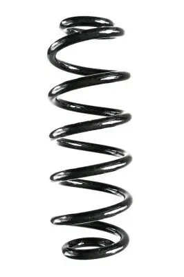 Fahrwerksfeder Hinterachse SPIDAN 88353