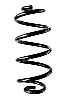 Fahrwerksfeder Hinterachse SPIDAN 88367