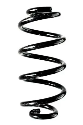 Fahrwerksfeder Hinterachse SPIDAN 88369