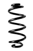 Fahrwerksfeder Hinterachse SPIDAN 88370