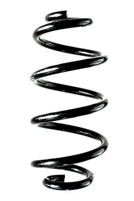 Fahrwerksfeder Hinterachse SPIDAN 88372
