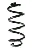 Fahrwerksfeder Hinterachse SPIDAN 88379