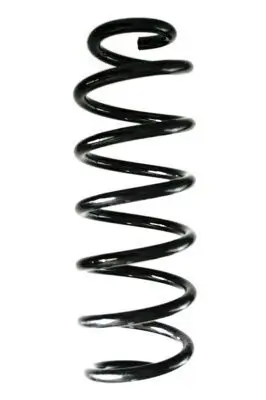 Fahrwerksfeder Hinterachse SPIDAN 88387