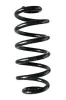 Fahrwerksfeder Hinterachse SPIDAN 88389