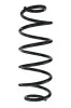 Fahrwerksfeder Hinterachse SPIDAN 88391