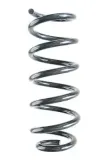 Fahrwerksfeder Vorderachse SPIDAN 88400