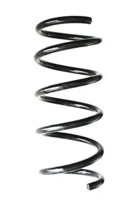 Fahrwerksfeder Hinterachse SPIDAN 88406