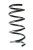 Fahrwerksfeder Hinterachse SPIDAN 88406