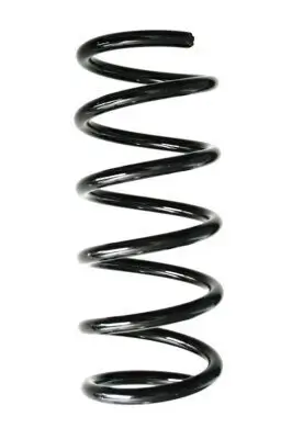 Fahrwerksfeder Hinterachse SPIDAN 88407