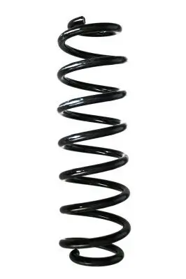 Fahrwerksfeder Hinterachse SPIDAN 88416