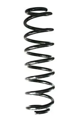 Fahrwerksfeder Hinterachse SPIDAN 88419